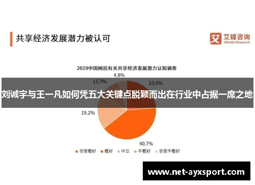 刘诚宇与王一凡如何凭五大关键点脱颖而出在行业中占据一席之地
