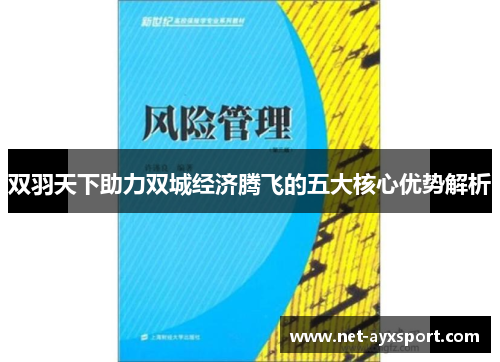 双羽天下助力双城经济腾飞的五大核心优势解析