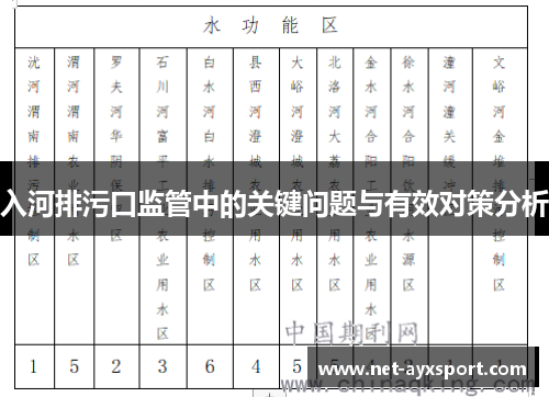 入河排污口监管中的关键问题与有效对策分析
